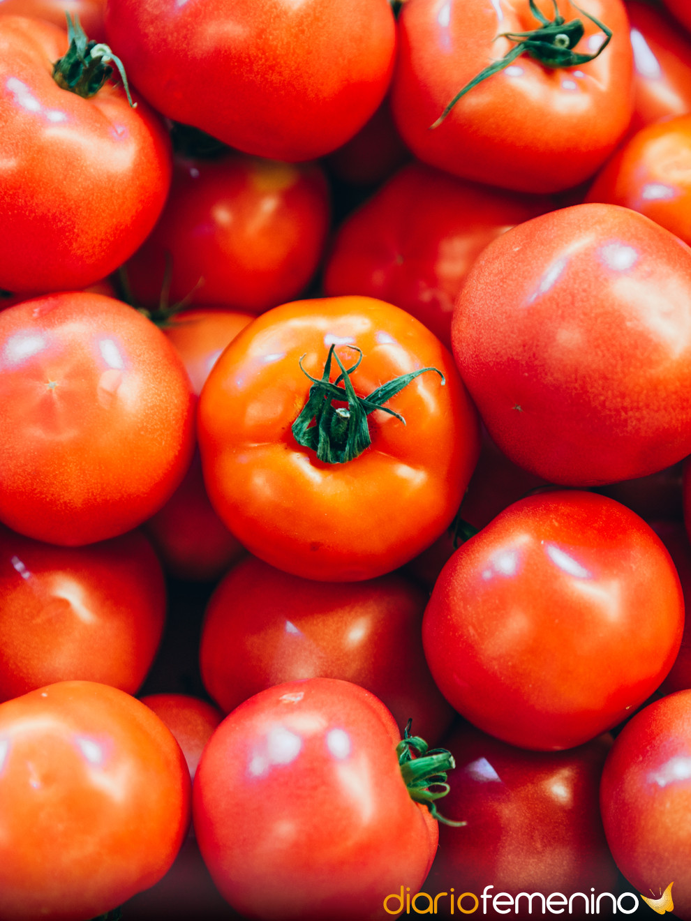 Adecuado Cincuenta Buzo Cómo conservar tomates (enteros y rallados) para que no se estropeen
