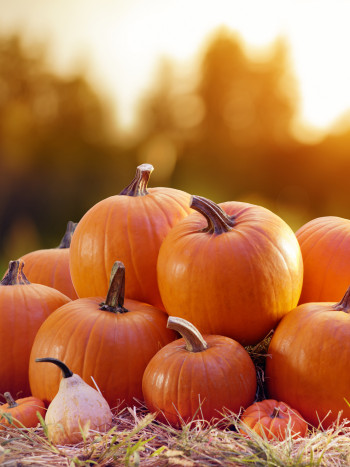 Trucos para saber si una calabaza está madura y aprovechar sus propiedades