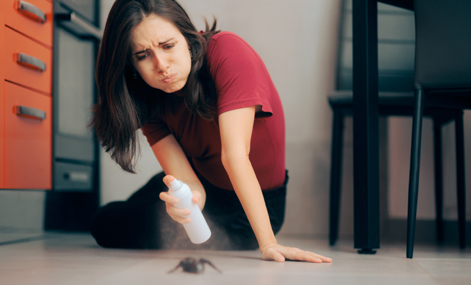 Interpretación de soñar con bichos o insectos muertos