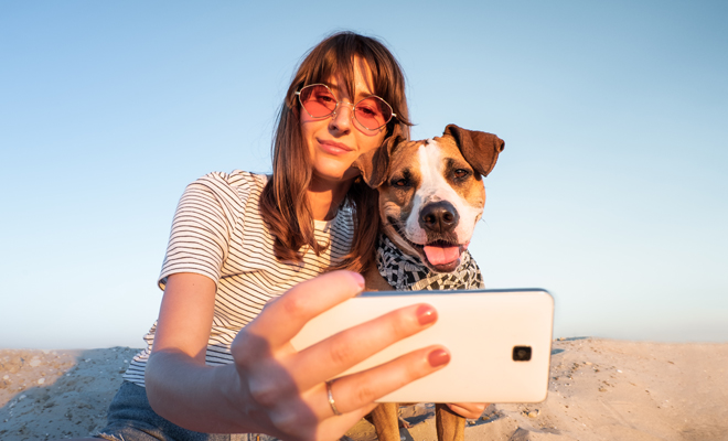 Interpretación de soñar con un perro que tuviste