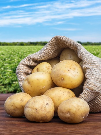 Soñar con patatas: descubre tu capacidad de adaptación