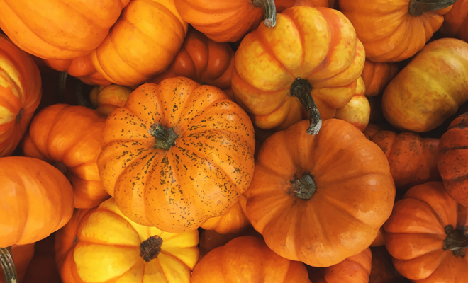 Qué significa soñar con calabazas maduras o tiernas