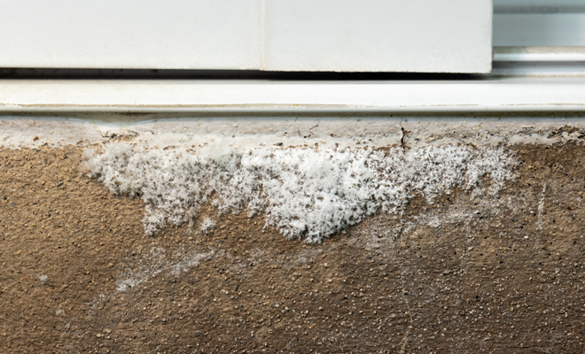 Qué significado tiene soñar con sal mojada o con lluvia de sal