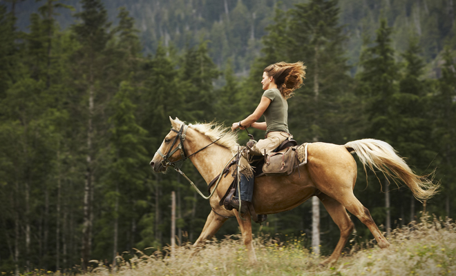 La salud para Caballo en 2020 según el horóscopo chino