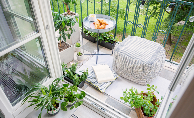 Decoración Feng Shui y las plantas