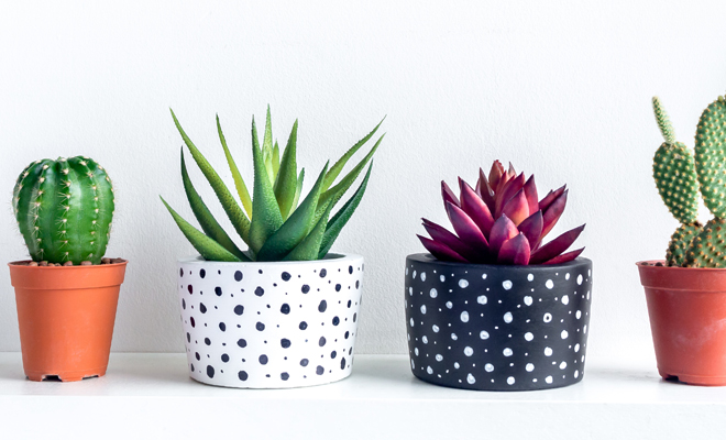 Regalos para el Día de los Abuelos: maceteros DIY