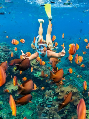 Soñar con peces fuera del agua: encuentra tu lugar