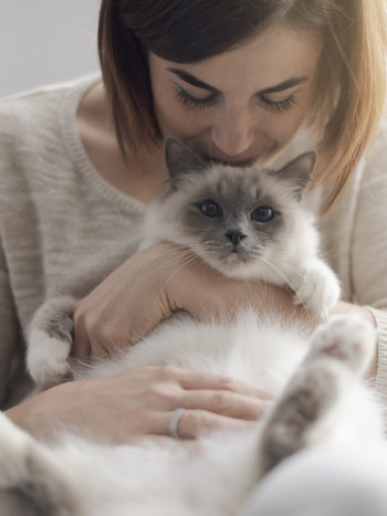 62 frases bonitas sobre gatos: palabras de amor para tu mascota