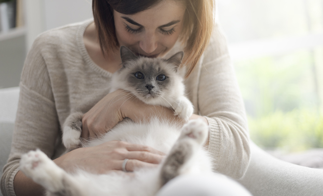 62 frases bonitas sobre gatos: palabras de amor para tu mascota