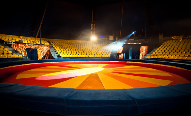 Soñar con un circo: todas sus interpretaciones