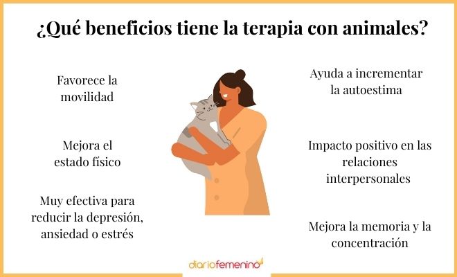 Diferentes beneficios de la terapia con animales