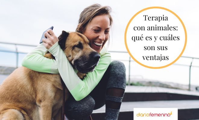 Tipos De Terapia Con Animales (y Sus Múltiples Beneficios Para La Salud)