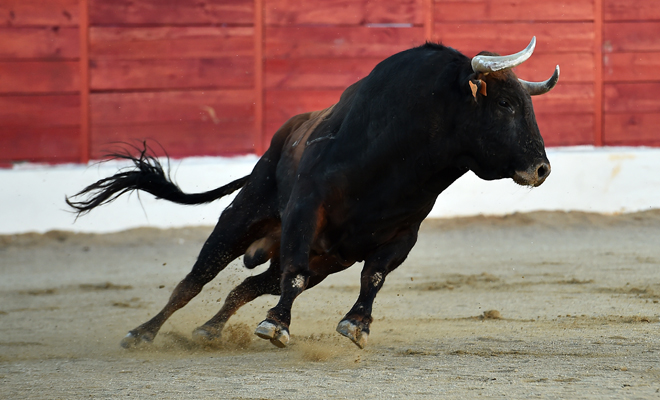 Disntintos significados de soñar que te persigue un toro