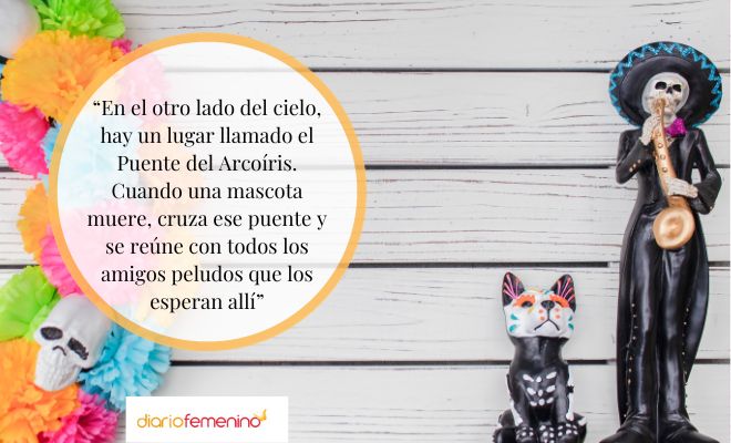 Palabras para conmemorar el Día de Muertos de las Mascotas