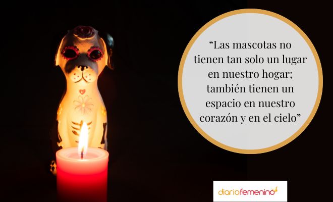 Mensajes del Día de Muertos de las Mascotas