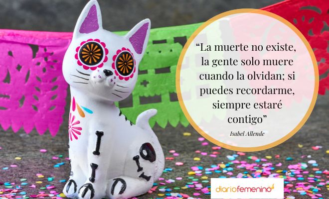 Frases bonitas del Día de Muertos de las Mascotas