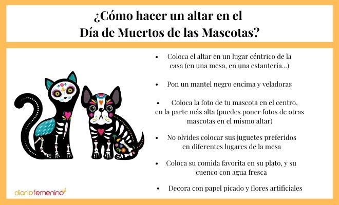 Paso a paso para hacer un altar en el Día de Muertos de las Mascotas