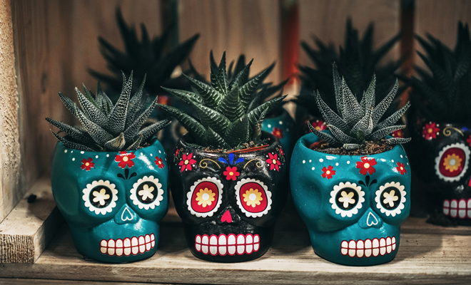 Macetas DIY para el Día de Muertos