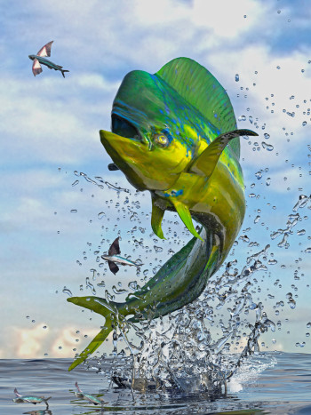 Soñar con peces voladores: en busca de la libertad