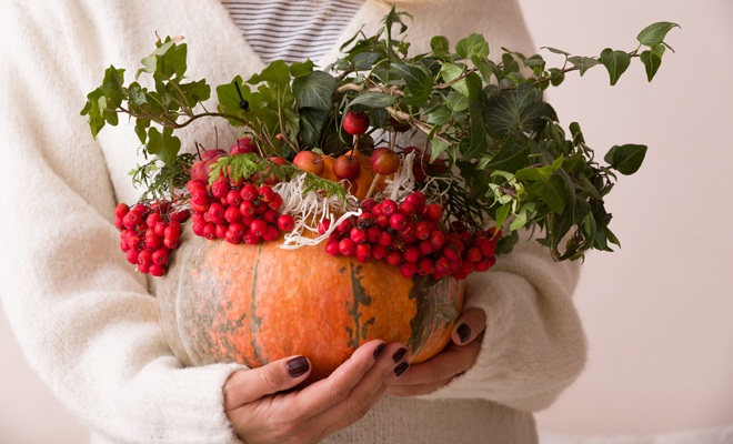 Decora tu hogar con flores y plantas navideñas si no vas a poner árbol
