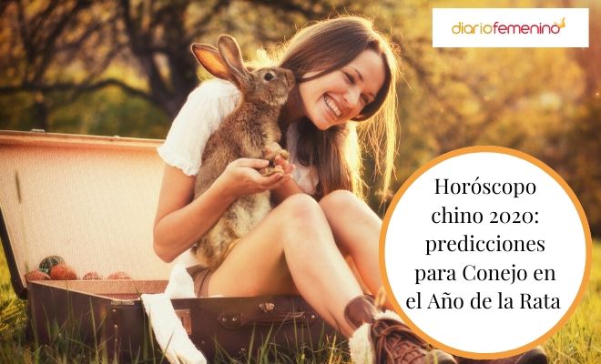 Horóscopo chino 2020: predicciones para Conejo