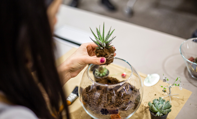 Terrario como regalo de Navidad hecho a mano