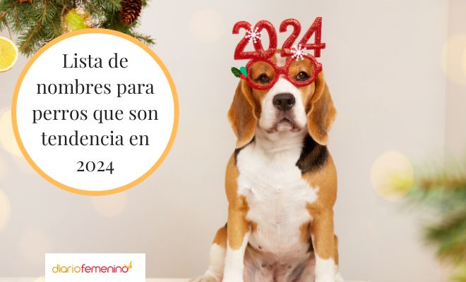 Lista de nombres para perros de tendencia en 2024
