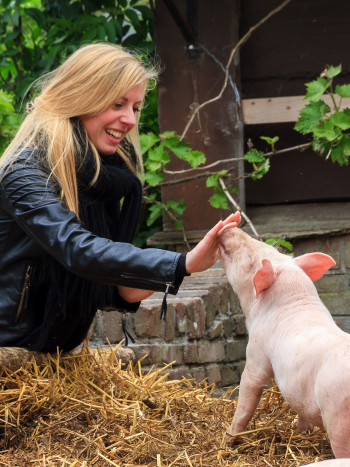 Horóscopo chino 2020 de Cerdo: cómo vivirá el Año de la Rata de Metal