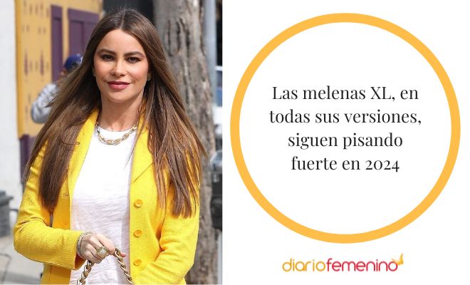 Cortes de pelo de tendencia en 2024: melenas largas