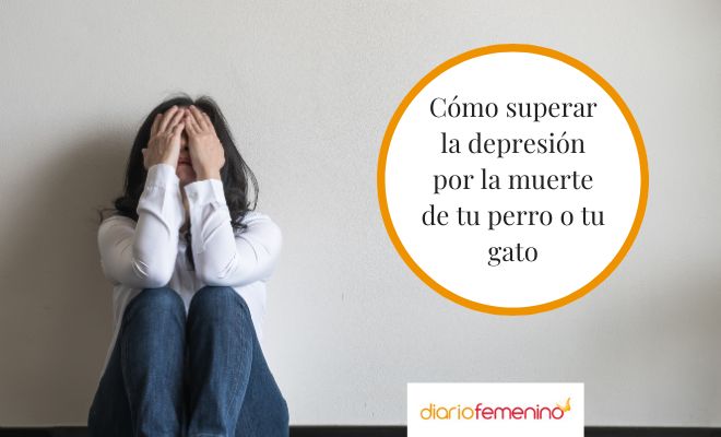 Depresión por la muerte de una mascota