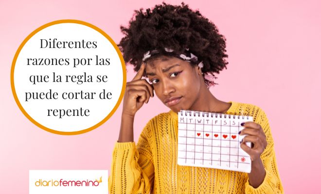 ¿Cuáles son las causas por las que la regla se corta?