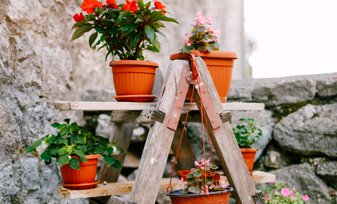 Cómo reutilizar una escalera de mano para decoración