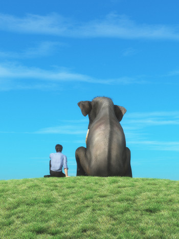 Soñar que hablas con los animales: significado extraño y surrealista