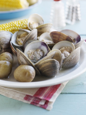 4 trucos sencillos para conservar las almejas frescas y en buen estado