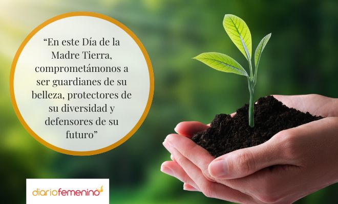 Las frases más lindas para el Día Internacional de la Madre Tierra