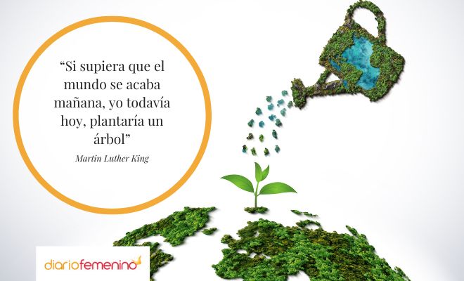 Frases célebres por el Día Internacional de la Madre Tierra