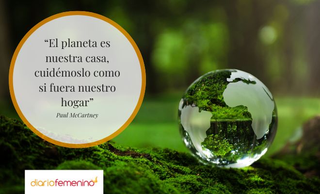 Frases inspiradoras del Día Internacional de la Madre Tierra