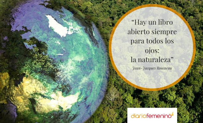 Lindas y célebres frases y mensajes para el Día Internacional de la Madre Tierra