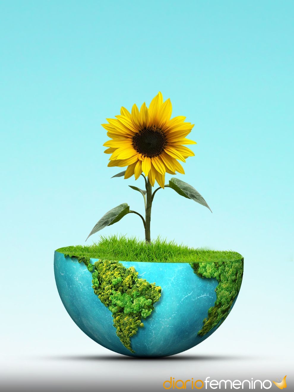 Frases Célebres para Reflexionar | PDF | Felicidad | Amor, image size:990x1320