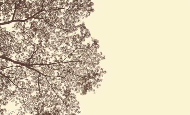 La naturaleza representada en los poemas de Bécquer
