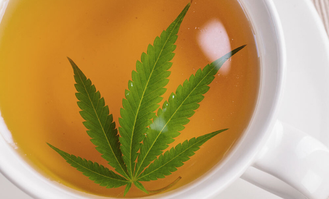 Beneficios del CBD y sus diferentes productos