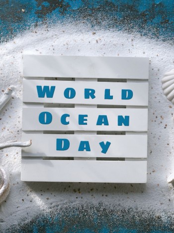 11 poemas para el Día Mundial de los Océanos: versos célebres sobre el mar