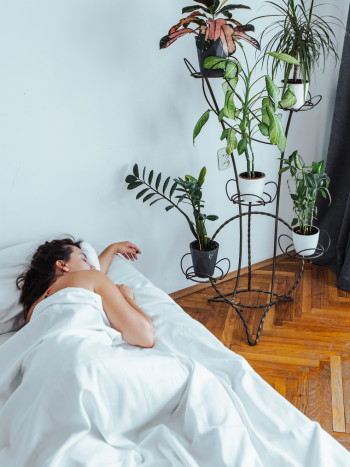 Dormir en una habitación con plantas, ¿bueno o malo para la salud?