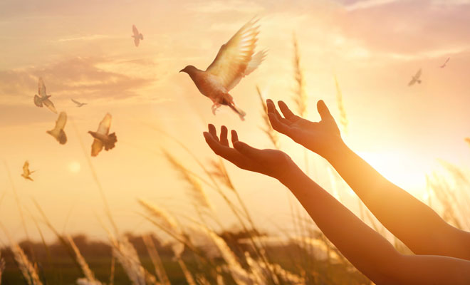 Test de reencarnación