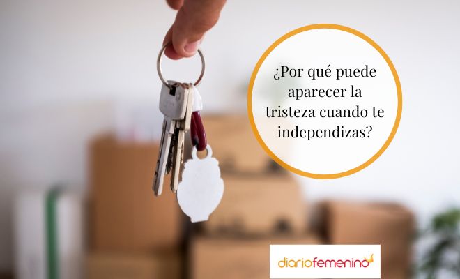 Causas de la tristeza al independizarse
