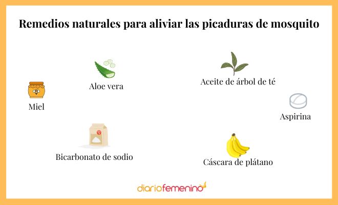 Picaduras de mosquito: remedios caseros