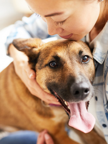 Nombres para perros de color marrón: apodos originales y sorprendentes
