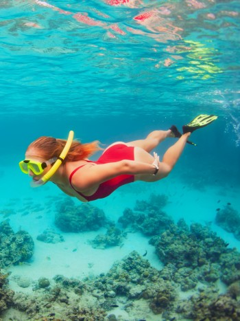 ¿Qué elementos se necesitan para practicar el buceo?