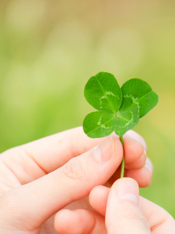 7 sueños que traen MUY buena suerte: excelentes presagios al soñar