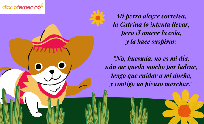 Calaverita literaria para mi perrito vivo
